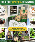 Herb Seeds Variety Pack With 11,700 Non GMO Heirloom Seeds For Indoor Outdoor Gardening In Individual Packets Including Basil Cilantro Dill Thyme Catnip Mint Rosemary Sage Oregano And More Great For Hydroponics And Home Cooks, promotional display showing seed packets and sprouts.
