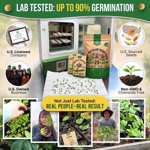 Herb Seeds Variety Pack With 11,700 Non GMO Heirloom Seeds For Indoor Outdoor Gardening In Individual Packets Including Basil Cilantro Dill Thyme Catnip Mint Rosemary Sage Oregano And More Great For Hydroponics And Home Cooks, promotional display showing seed packets and sprouts.