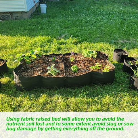 Fabric Raised Garden Bed Kit 128 Gallon With Eight Plant Grow Bags 3x6 Ft Planter setup on grass with young plants.