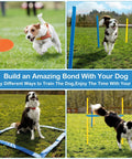 Ultimate Dog Agility Course Backyard Set with tunnel, weave poles, jump ring, and pause box for active pups training outdoors.