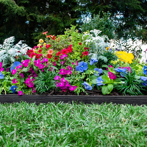 Super Easy Tall 2.5 Inch Woodgrain Wall No Dig Landscape Edging Kit In Black Holds Heavy Mulch in lush flower bed border