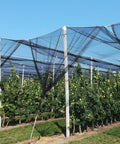 39 By 10 Foot Mosquito Netting For Garden And Patio protecting a crop field with breathable polyester covers.