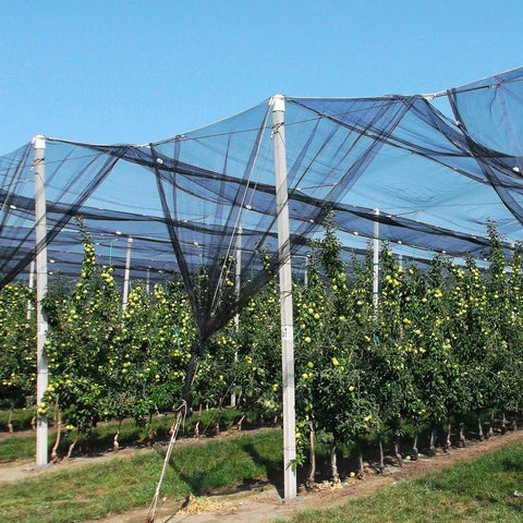 39 By 10 Foot Mosquito Netting For Garden And Patio protecting a crop field with breathable polyester covers.