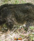 Wild Boar Archery Target For Real Life Shoot Practice And Hunt Mode Training Photorealistic Life Size 28 By 40 Plastic Target