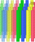 32 Pack 12 Inch Plastic Rulers Set With Transparent Colorful Dual Sided Measuring Tool Featuring Inches Centimeters And Millimeters For Kids Back To School Office And Home Supplies