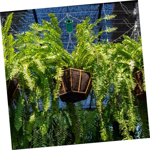 50 Pack Greenhouse Fixing Clips Kit For Insulation Netting And Shade Netting, Ideal For Plant Hanging And Balcony Or Indoor Garden Setups, Space Saving Garden Clips For Netting Supports And Tidier Greenhouse