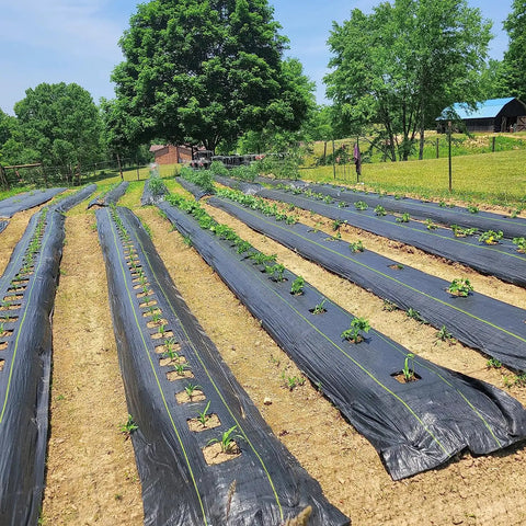 Tough As Nails Heavy Duty 3oz Weed Barrier Fabric 4t By 100ft Woven Landscape Ground Cover With 30 Staples For Driveway Garden Yard And Greenhouse Use Durable Polypropylene Material