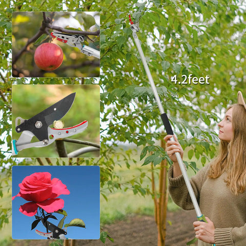 Cut And Hold Pole Pruner With 4 Point 2 Foot Reach And 180 Degree Rotating Handle, Easy Grip SK5 Steel Blade Cuts Up To Half Inch used by woman to prune tree.