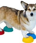 Dog balancing on Pawsome Four Flexible Paw Pods for Dog Agility Training Boost Dynamic Balance and Coordination with Sensory Bumps
