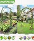 Outdoor Garden Arch Trellis For Climbing Plants, Sturdy Metal Arbor With Rust Proof Coating in vegetable and flower gardens