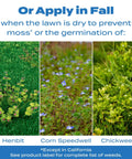All Season Crabgrass And Grassy Weed Preventer For Lawns Pre Emergent Weed Control That Stops Chickweed And More image showing weeds