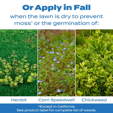 All Season Crabgrass And Grassy Weed Preventer For Lawns Pre Emergent Weed Control That Stops Chickweed And More image showing weeds