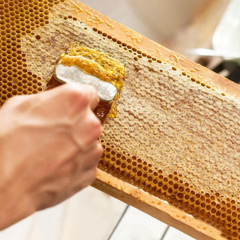 Beekeeping Honey Uncapping Fork With 18 Stainless Steel Tines And Plastic Handle Pro Grade Scraper Knife extracting honey