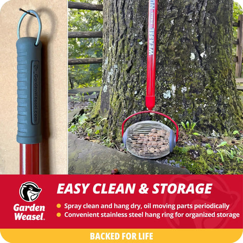 No Sweat Lawn Roller Picker That Gathers Acorns Buckeyes And Beechnuts Directly Off The Grass Surface Without Forcing You To Hunch Or Break Your Back At All On Weekend Chore Days, showcasing the ergonomic handle and stainless steel components.