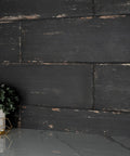 Retro Nero Porcelain Floor And Wall Tile 8.25 X 23.5 Inches Glazed Textured Low Sheen with plant decor and marble surface