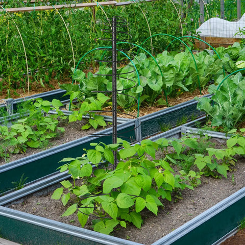 Outdoor Metal Trellis For Climbing Plants Beefy Heavy Duty Rustproof Garden Trellis 60 Inch Tall in vegetable garden setting
