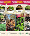 Indoors Or Outdoors Onion Seed Variety Pack Heirloom Non GMO Eight Varieties With 2200 Seeds Including growing stages