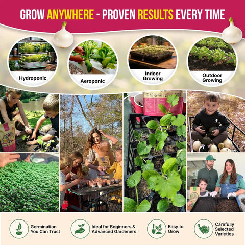 Indoors Or Outdoors Onion Seed Variety Pack Heirloom Non GMO Eight Varieties With 2200 Seeds Including growing stages