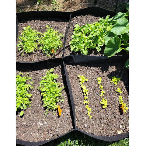 Fabric Raised Garden Bed Kit 128 Gallon With Eight Plant Grow Bags 3x6 Ft Planter For Growing Vegetables and Flowers outdoors