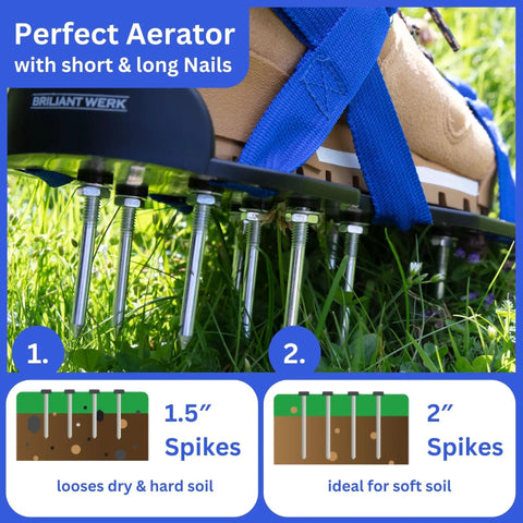 Close-up of adjustable strap lawn aerator shoes with 2 inch spikes and 1.5 inch nails on grass, blue straps visible.