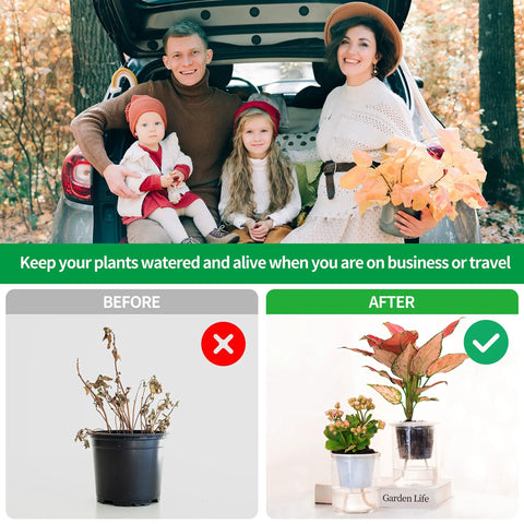 Family with plants showing before and after using the 15 Foot Self Watering Capillary Wick Cord for Plants and DIY Hydroponics