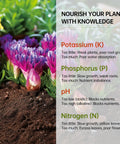 4-In-1 Soil Test Kit For PH, Nitrogen, Phosphorus And Potassium Levels - 40 Tests With plant health guide overlay