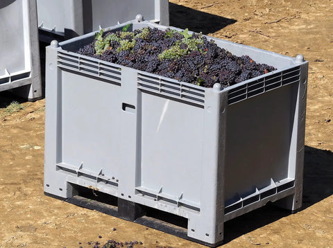 Heavy Duty White Gaylord Box Liners For Industrial Tote Bins Up To 55 By 55 By 75 Inches, Knockout 1.5 Mil Plastic Bags With One Month Uv Armor, Pack Of 4 Tough As Nails Waste Liners filled with grapes.