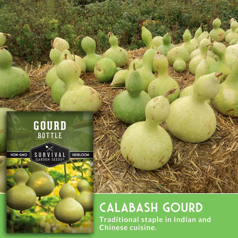 Super Easy Grow Bottle Gourd Seeds Packet With Growing Guide For Home Garden Calabash Birdhouse Gourds Non GMO Heirloom Variety Survival Garden Seeds With Step By Step Planting Instructions And Growing Tips For A Bountiful Harvest