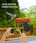 Set Of 2 Mini Glass Hummingbird Feeders With Window Mount Base For Handheld Or Tabletop Use Outdoors Holds 1 Oz Red And Yellow Flower Attractors For Grab And Go Bird Watching And Quick Feeding, attached to window attracting hummingbird.