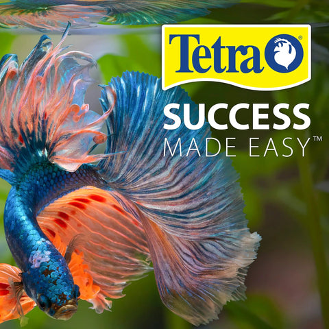 Colorful fish swimming in a tank representing the Top Shelf Six In One Aquarium Water Test Strips for Freshwater and Saltwater Tanks.