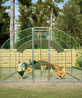 Sturdy Walk In Chicken Coop Run With Waterproof Cover And Lockable Door Beefy Heavy Duty Galvanized Steel Frame in garden setting