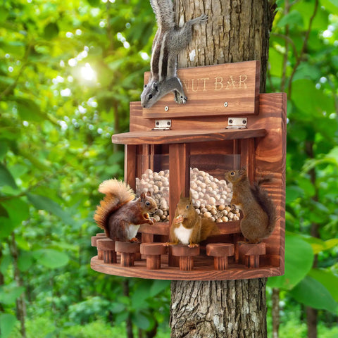 Crescent Wooden Squirrel Feeder Table for Outdoor Use on a tree, picnic table style seed tray with squirrels eating.