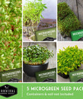 Five Variety Microgreens Seed Kit For Indoor Sprouting With Mustard Mung Bean Curled Cress Clover And Lettuce Heirloom Non GMO Starter Pack For Quick Indoor Harvest And Homegrown Flavor displayed with seed packets and sprouts