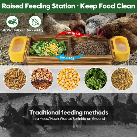 Carbonized Wooden Chicken Picnic Table Feeder With Two Water Dispensers shown with chickens feeding on grains and vegetables.