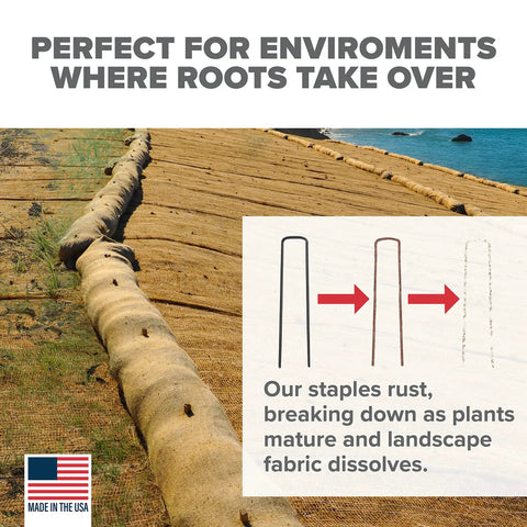 Installed dissolving garden landscape staples 6 inch pins for weed barrier fabric stakes 11 gauge steel 200 pack made in USA non galvanized rusting