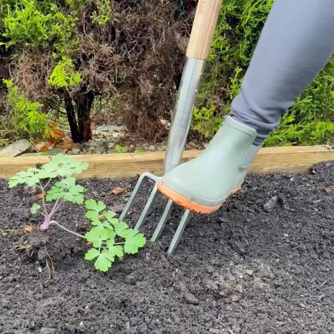 Traditional Stainless Steel Border Fork For Aerating Weeding And Digging with Wooden Handle in Garden Bed