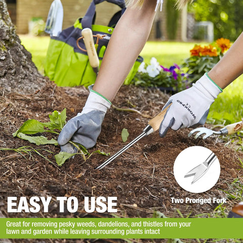 Person using Two Pronged Dandelion Weeder Puller Tool With Wood Handle Stainless Steel Garden Weed Remover For Lawn Farmland And Transplants Easy Root Removal Without Damaging Surrounding Plants Heavy Duty Build on soil.