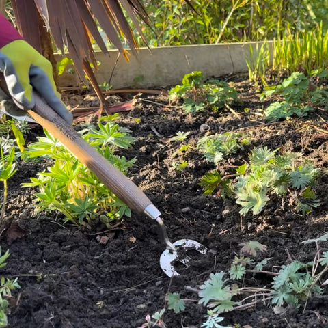 Gardener using Stainless Steel Hand Weeder Fork For Easy Weeding And Soil Aeration in garden bed, showing ergonomic handle.