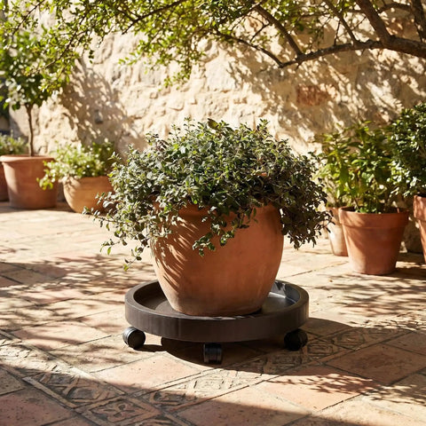 14.2 Inch Round Planter Caddy With Heavy Duty Smooth Gliding Casters under large potted plant on outdoor patio surface.