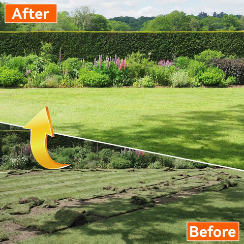 77 Inch Adjustable Bow Rake With Metal Head And 1.1 Inch Thick Stainless Steel Handle Built For Heavy Duty Yard Work Soil Loosening Leaf Gathering Lawn Leveling And Yard Management showing before and after lawn improvement