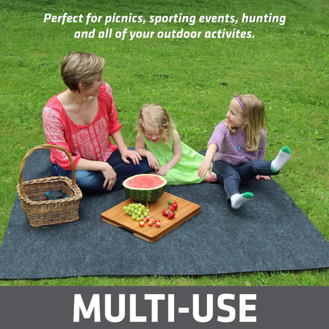 Family on Soft Plush Tent Carpet Mat With Waterproof Backing Keeps You Warm And Dry Inside The Tent, enjoying picnic in a park.