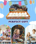 Interactive Dinosaur Eggs Dig Kit Hands On With 12 Pieces Dino Excavation Bricks For Archaeology Science And STEM Experiments