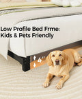 Rock Solid Full Size Bed Frame With Heavy Duty Steel Slat Support Ultra Low Profile Platform Design shown with a dog underneath.