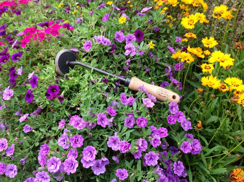 Three Piece Weeding Kit With Disc Weeder in colorful flower garden