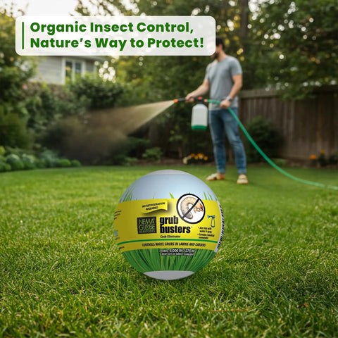 Natural Pest Control Nematodes For Lawn And Garden Hose End Ready Eliminates White Grubs Japanese Beetles Billbugs Chafer