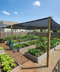 30 Percent Shade Cloth For Greenhouses And Gardens 8 Foot By 12 Foot Heavy Duty HDPE Tarp With Grommets installed over a garden