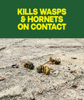 Dead wasps on concrete surface showcasing effectiveness of Straight Shooting Flying Insect Killer Spray For Wasps And Hornets With A Powerful Jet Stream Two 14 Oz Cans Provide Tough Outdoor Bug Protection That Kicks Stinging Pests Right Out The Gate.