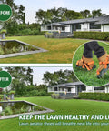 Adjustable Lawn Aerator Shoes with Heavy Duty Spikes for Grass and Garden Secure Hook Loop Straps in use on lawn