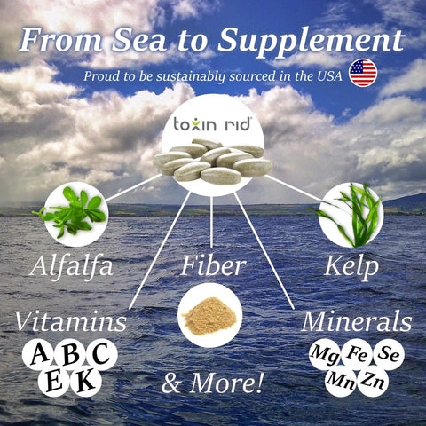 From Sea to Supplement image showcasing alfalfa, kelp, fiber, and minerals for Get A Clean Slate With This Seven Day Detox Kit And Whole Body Cleanse.