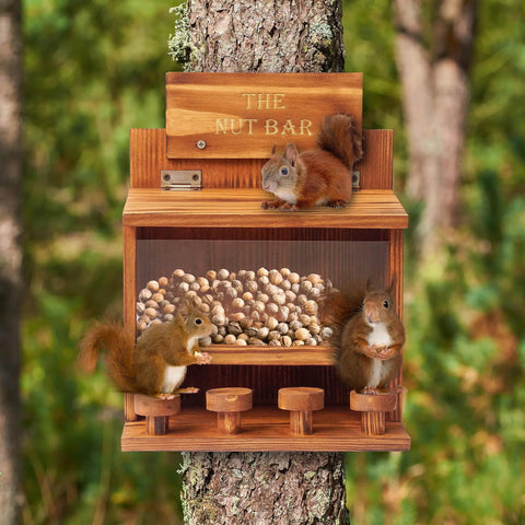 Squirrels using Wooden Squirrel Picnic Table Feeder with Durable Solid Frame Clear Acrylic Feeding Panel Top Door Access